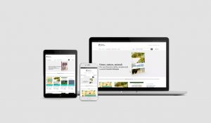 Realizzazione ecommerce Edizioni Altravista - Homepage sito multidevice