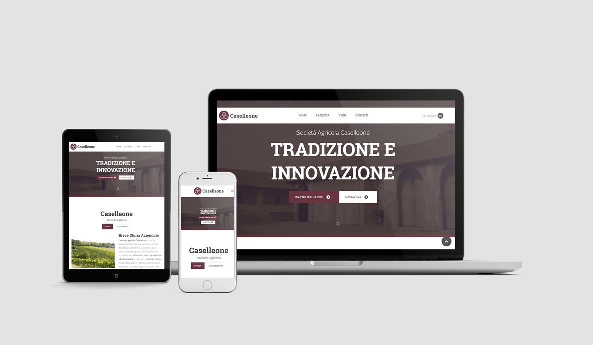 Realizzazione siti internet - Caselleone - Home Caselleone.com su diversi devices