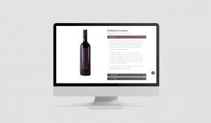 Progettazione web - Prodotti Caselleone.com