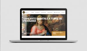 Realizzazione siti internet - Distretto Terre Casalasche - Homepage